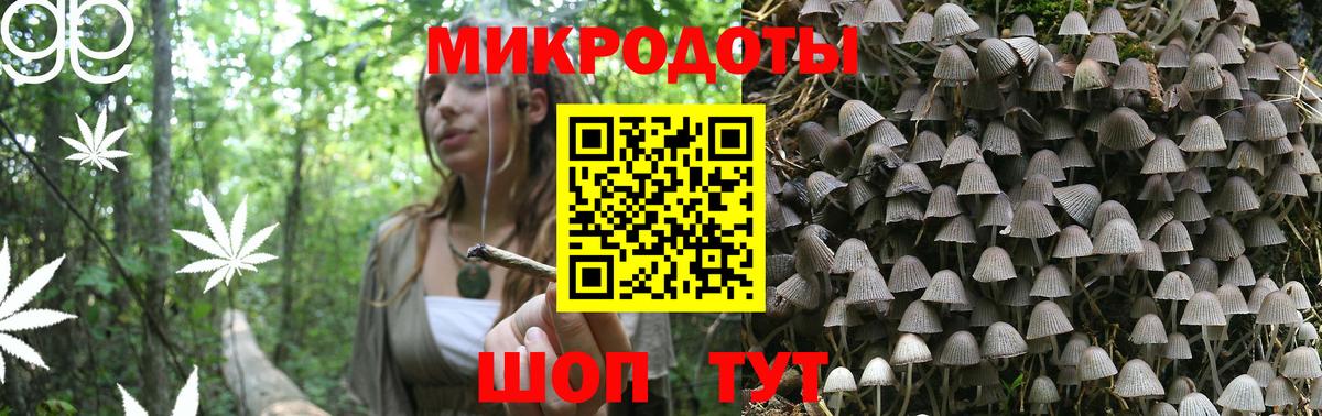 Бийск  Псилоцибиновые грибы прущие грибы  цена   Вход с VPN 